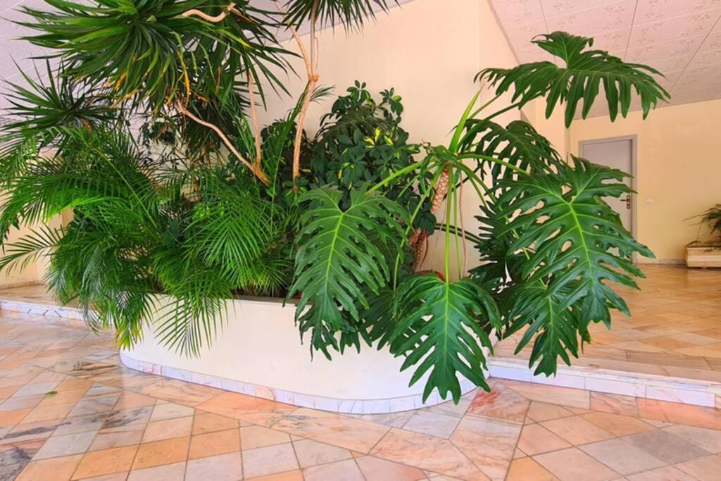 Comfort Zone Beach Apartment Quarteira Exterior foto